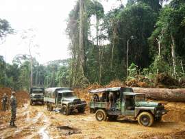 2004 Gabon, a gaboni őserdőt vágják