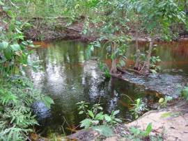 2004 Gabon, táborhelyünk az őserdőben