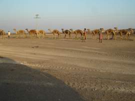 Djibouti 2010,  Mesterlövész tanfolyam